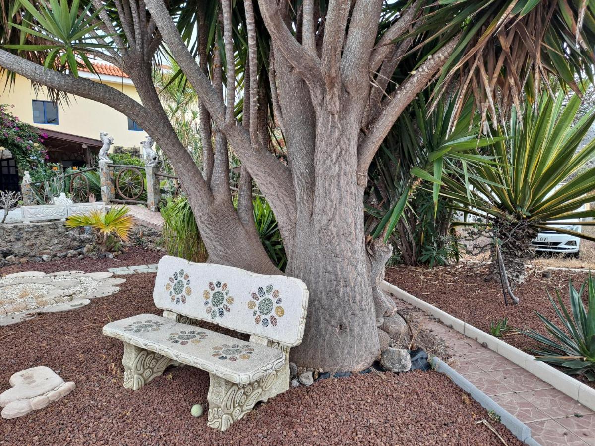 Tenerife Apartment 100M2 Casa De Don Quijote With A Terrace Of 100M2 With A View Of The Ocean And Teide Volcano And A Garden Of 600M2 Icod De Los Vinos Ngoại thất bức ảnh