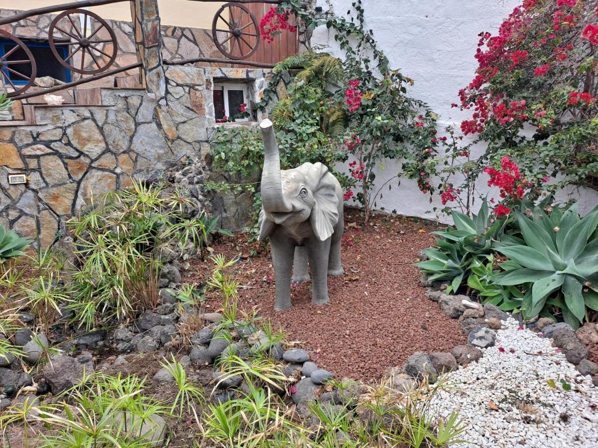 Tenerife Apartment 100M2 Casa De Don Quijote With A Terrace Of 100M2 With A View Of The Ocean And Teide Volcano And A Garden Of 600M2 Icod De Los Vinos Ngoại thất bức ảnh