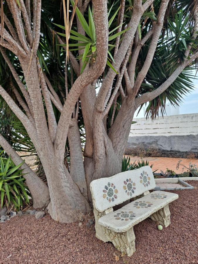 Tenerife Apartment 100M2 Casa De Don Quijote With A Terrace Of 100M2 With A View Of The Ocean And Teide Volcano And A Garden Of 600M2 Icod De Los Vinos Ngoại thất bức ảnh